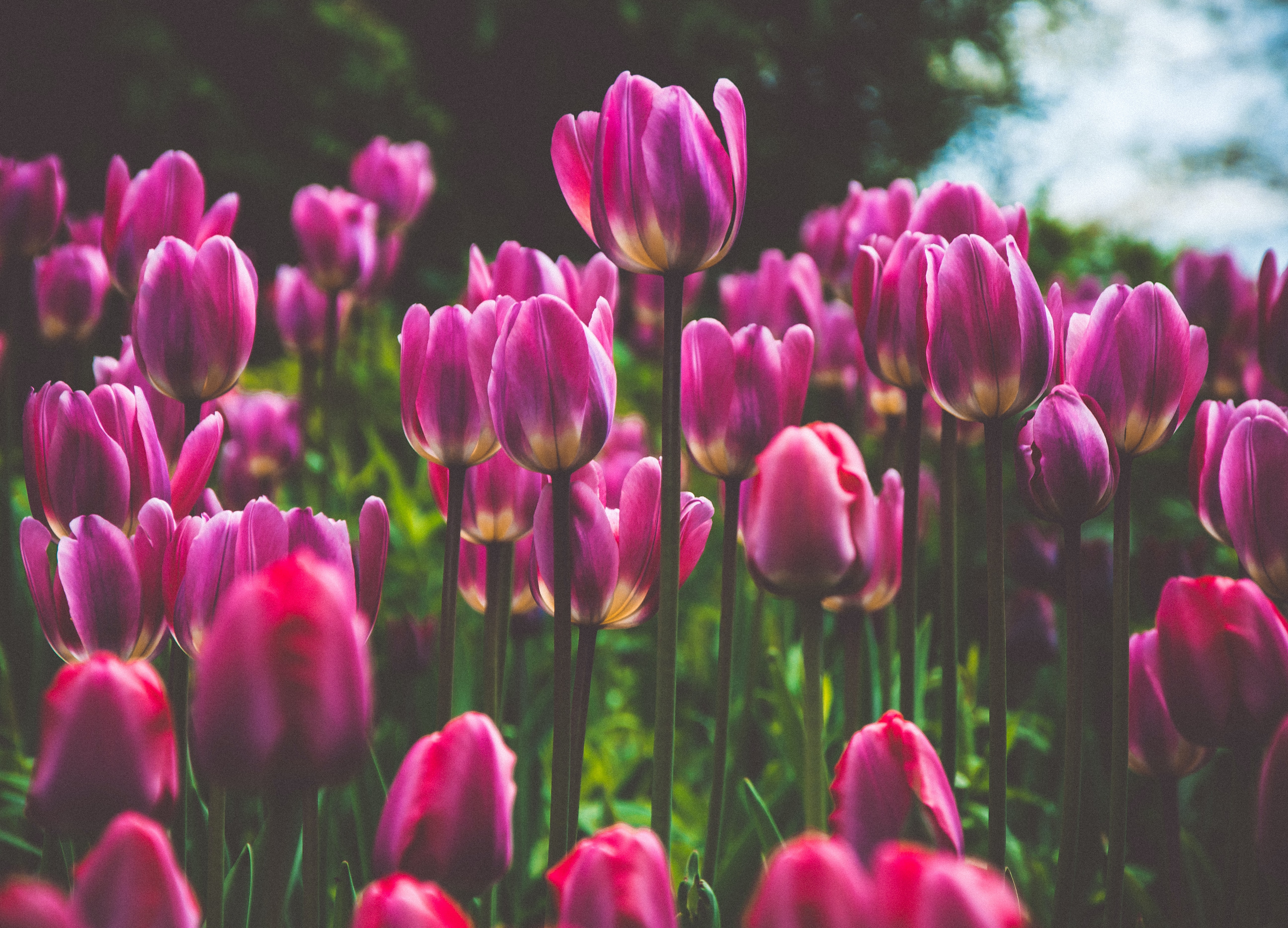 ちょっとしたオシャレを楽しむ